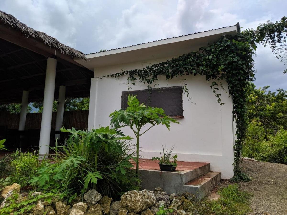 Funny Jellyfish Resort Moalboal Exterior foto